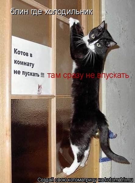 Котоматрица: блин где холодильник там сразу не впускать