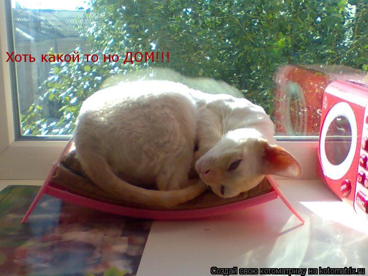 Котоматрица: Хоть какой то но ДОМ!!!