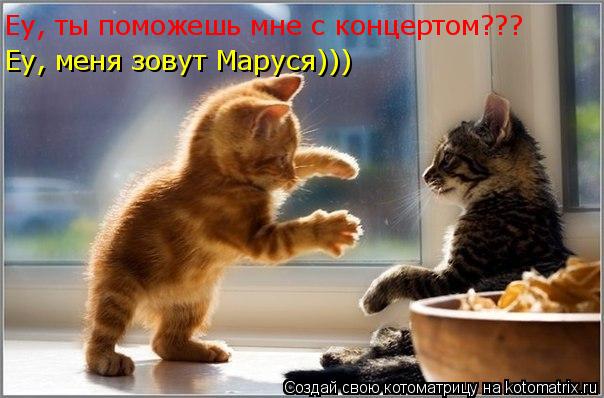 Котоматрица: Еу, ты поможешь мне с концертом??? Еу, меня зовут Маруся)))