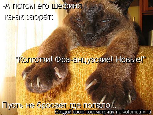 Котоматрица: -А потом его шефиня  ка-ак заорёт: "Колготки! Фра-анцузские! Новые!" Пусть не бросает где попало...