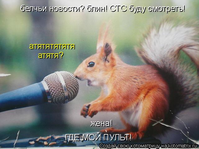 Котоматрица: белчьи новости? блин! СТС буду смотреть! жена! ГДЕ МОЙ ПУЛЬТ! атятятятятя атятя?