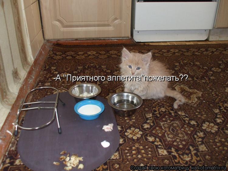 Котоматрица: -А "Приятного аппетита"пожелать??