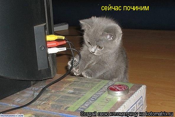 Котоматрица: сейчас починим