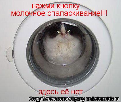 Котоматрица: нажми кнопку молочное спаласкивание!!! здесь её нет