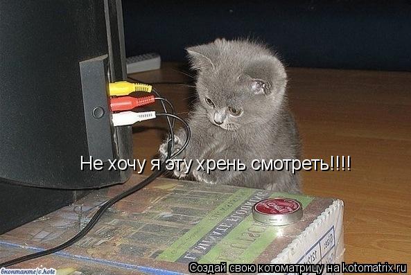 Котоматрица: Не хочу я эту хрень смотреть!!!!