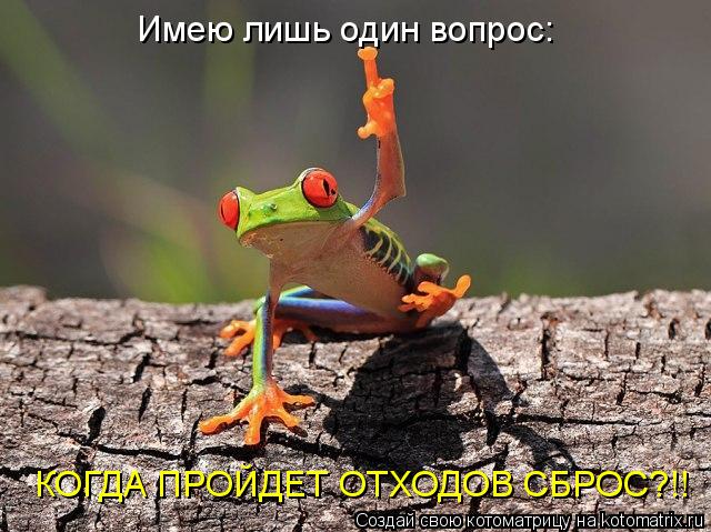 Котоматрица: Имею лишь один вопрос: КОГДА ПРОЙДЕТ ОТХОДОВ СБРОС?!!