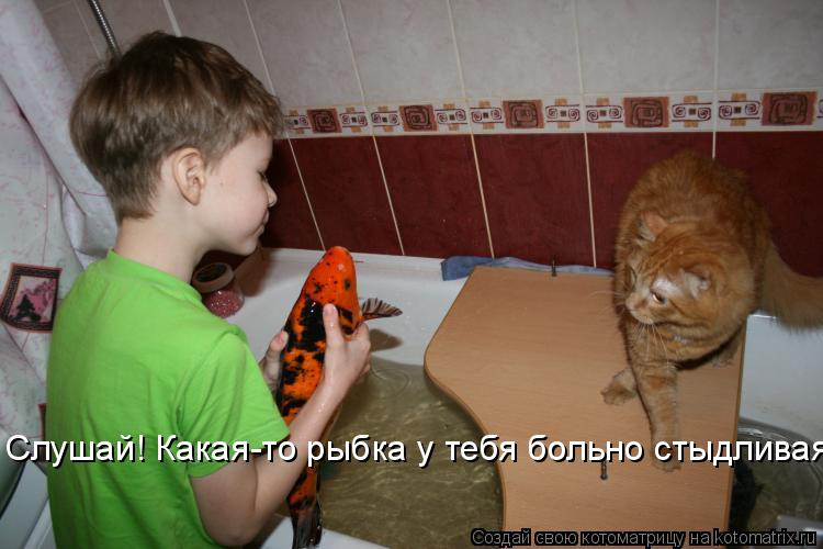 Котоматрица: Слушай! Какая-то рыбка у тебя больно стыдливая!