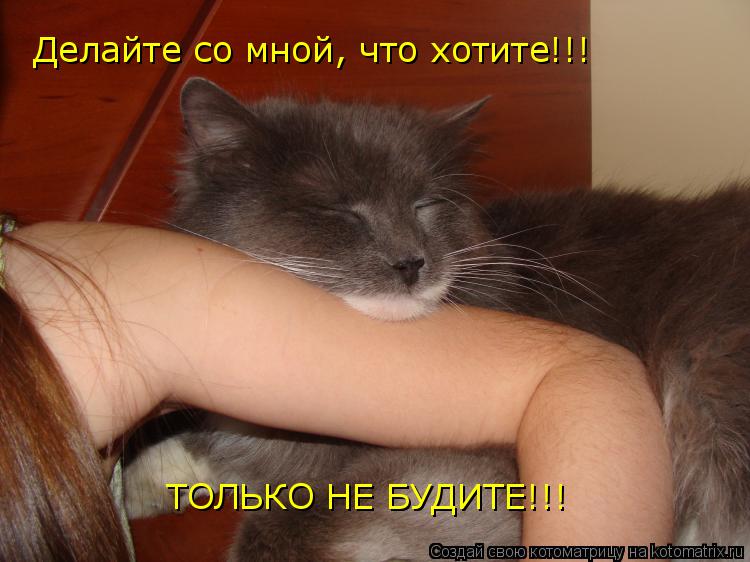 Котоматрица: Делайте со мной, что хотите!!! ТОЛЬКО НЕ БУДИТЕ!!!