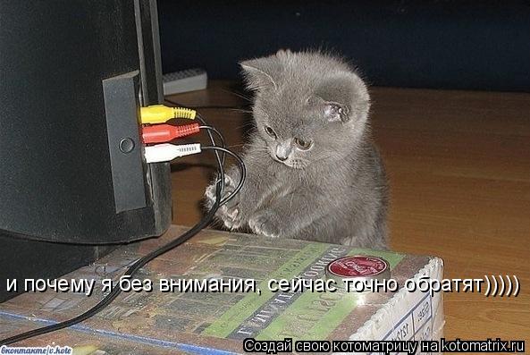Котоматрица: и почему я без внимания, сейчас точно обратят)))))