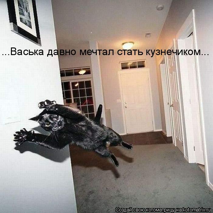 Котоматрица: ...Васька давно мечтал стать кузнечиком...