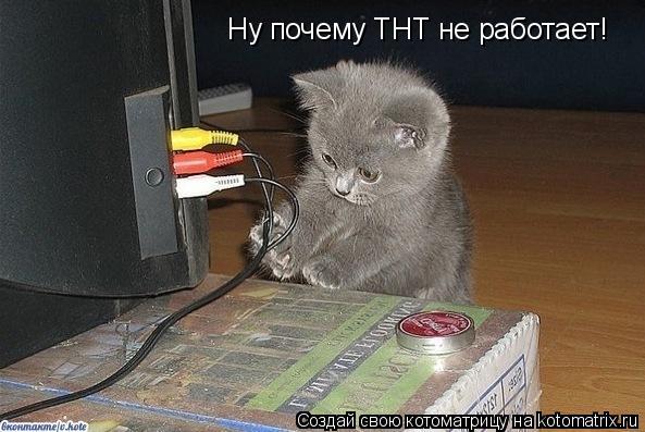 Котоматрица: Ну почему ТНТ не работает!