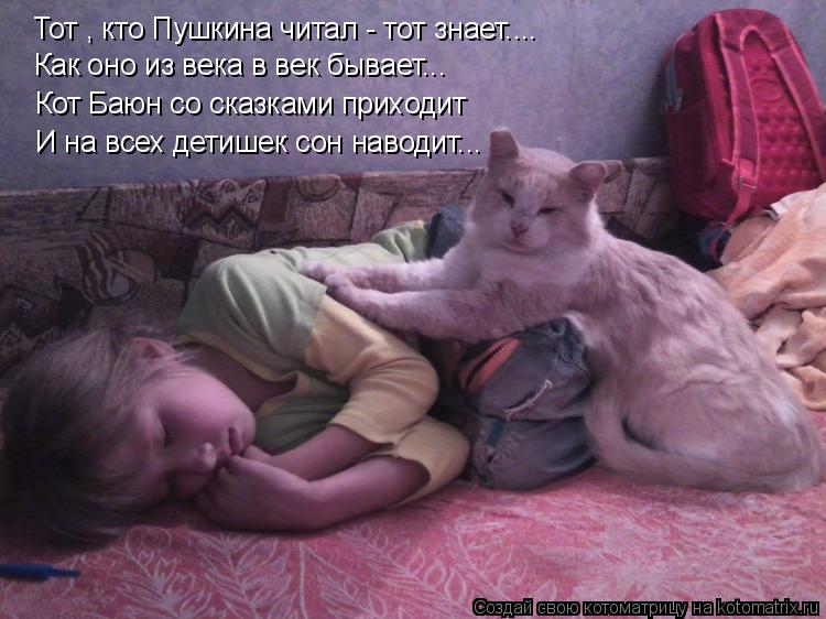 Котоматрица: Тот , кто Пушкина читал - тот знает.... Как оно из века в век бывает... Кот Баюн со сказками приходит И на всех детишек сон наводит...