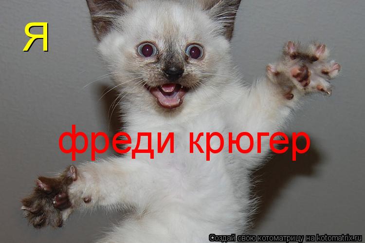 Котоматрица: Я фреди крюгер