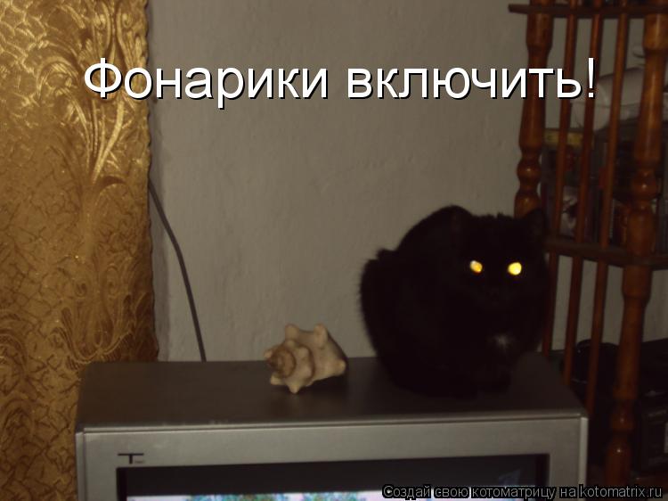 Фонарики включить!... Котоматрица: Фонарики включить!