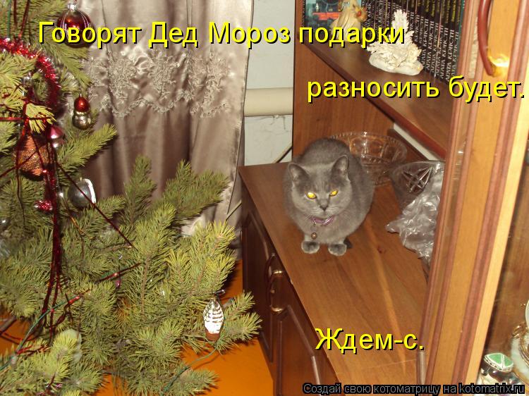 Говорят Дед Мороз подарки разносить будет. Ждем-с.... Котоматрица: Говорят Дед Мороз подарки разносить будет. Ждем-с.