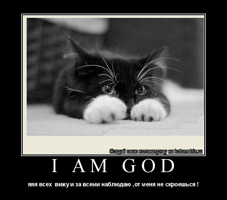 Котоматрица:                        I am God яяя всех  вижу и за всеми наблюдаю ,от меня не скроешься !