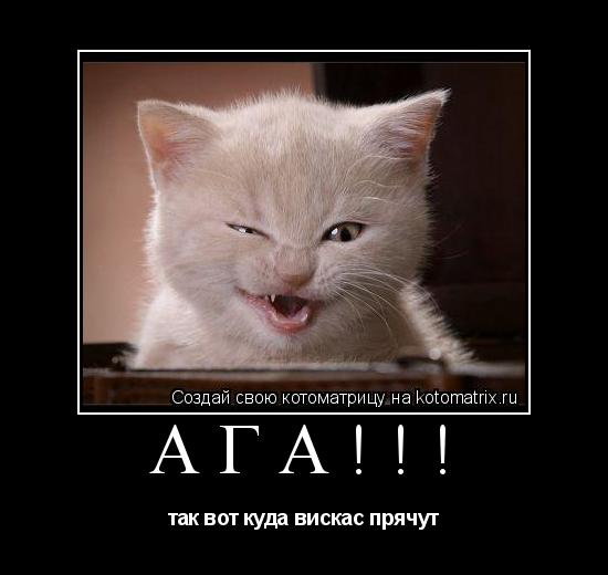 Котоматрица: ага!!! так вот куда вискас прячут