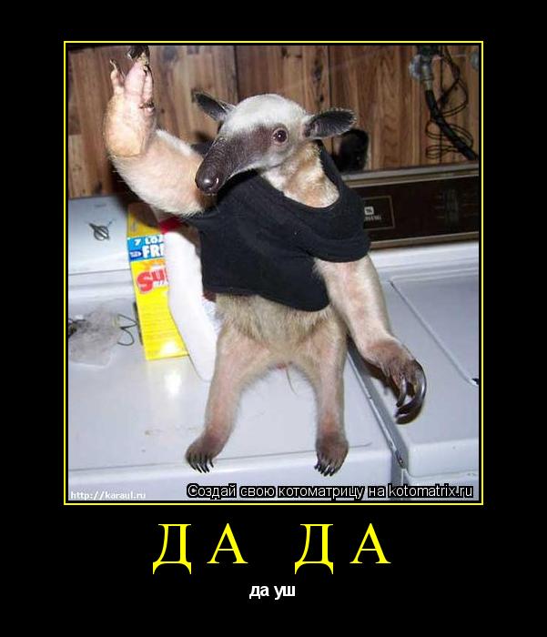 Котоматрица: да да да уш