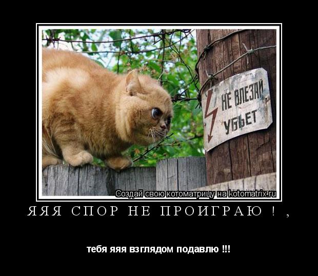 Котоматрица: яяя спор не проиграю ! , тебя яяя взглядом подавлю !!!