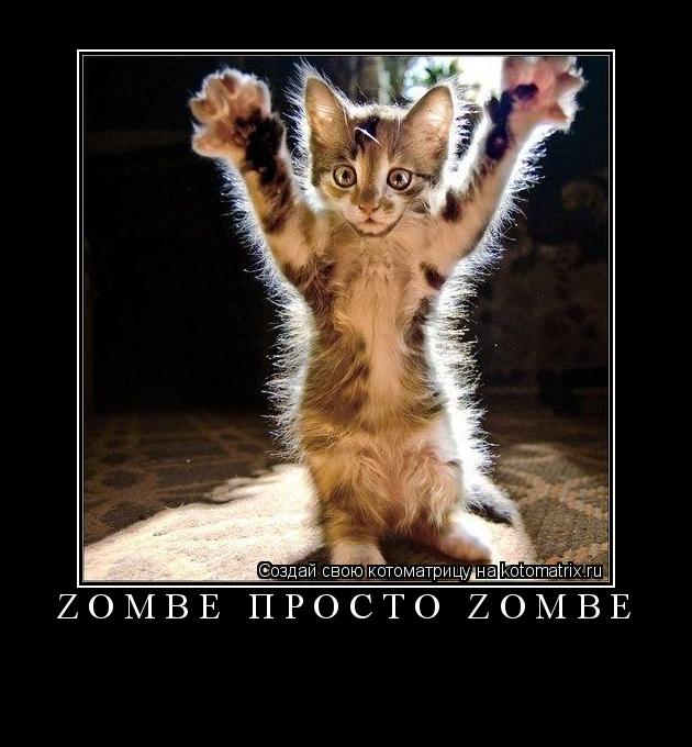 Котоматрица: ZOMBE ПРОСТО ZOMBE 