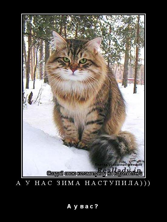 а у нас зима наступила))) А у в а с ? ... Котоматрица: а у нас зима наступила))) А у в а с ?
