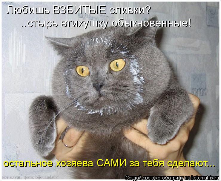 Любишь ВЗБИТЫЕ сливки? ..стырь втихушку обыкновенные! остальное хозяева САМИ за тебя сделают...... Котоматрица: Любишь ВЗБИТЫЕ сливки? ..стырь втихушку обыкновенные! остальное хозяева САМИ за тебя сделают...
