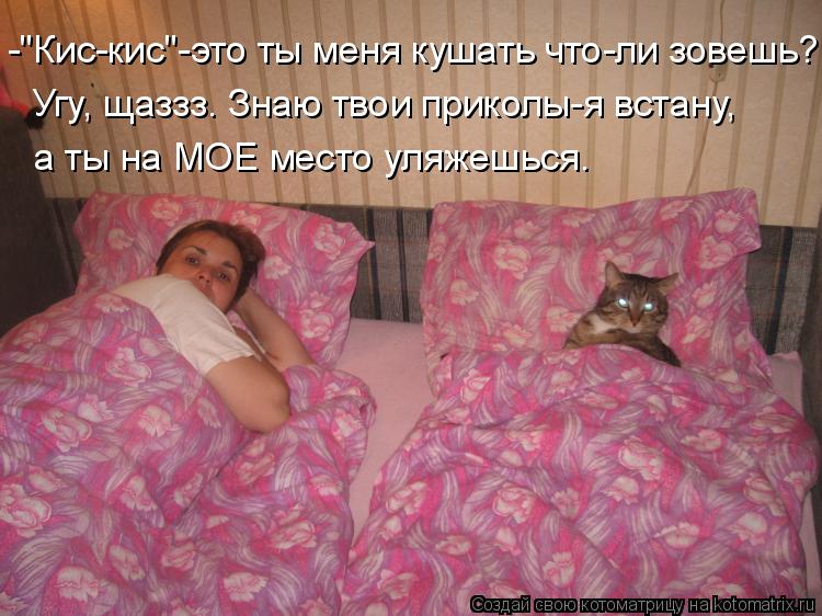 -"Кис-кис"-это ты меня кушать что-ли зовешь? Угу, щаззз. Знаю твои приколы-я встану, а ты на МОЕ мест... Котоматрица: -"Кис-кис"-это ты меня кушать что-ли зовешь? Угу, щаззз. Знаю твои приколы-я встану, а ты на МОЕ место уляжешься.