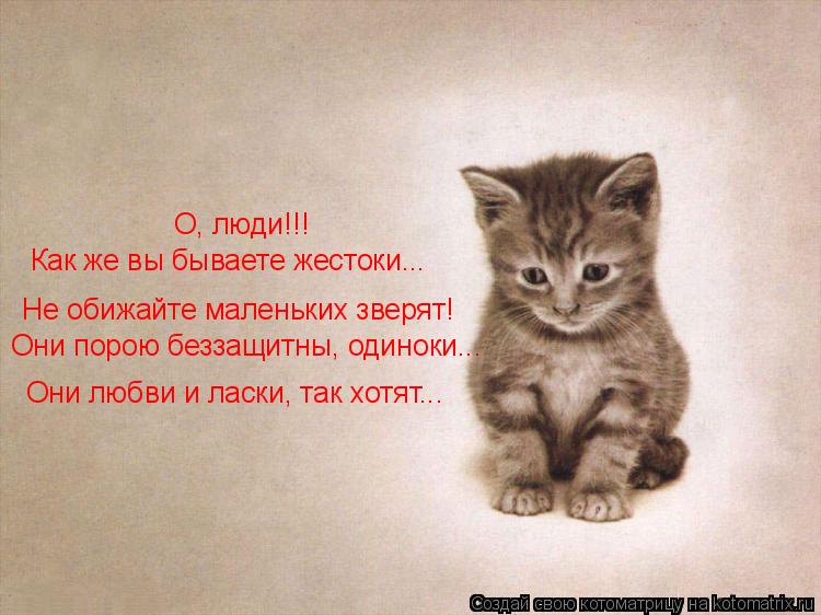Как же вы бываете жестоки... Они порою беззащитны, одиноки... Не обижайте маленьких зверят! Они любви... Котоматрица: Как же вы бываете жестоки... Они порою беззащитны, одиноки... Не обижайте маленьких зверят! Они любви и ласки, так хотят... О, люди!!!