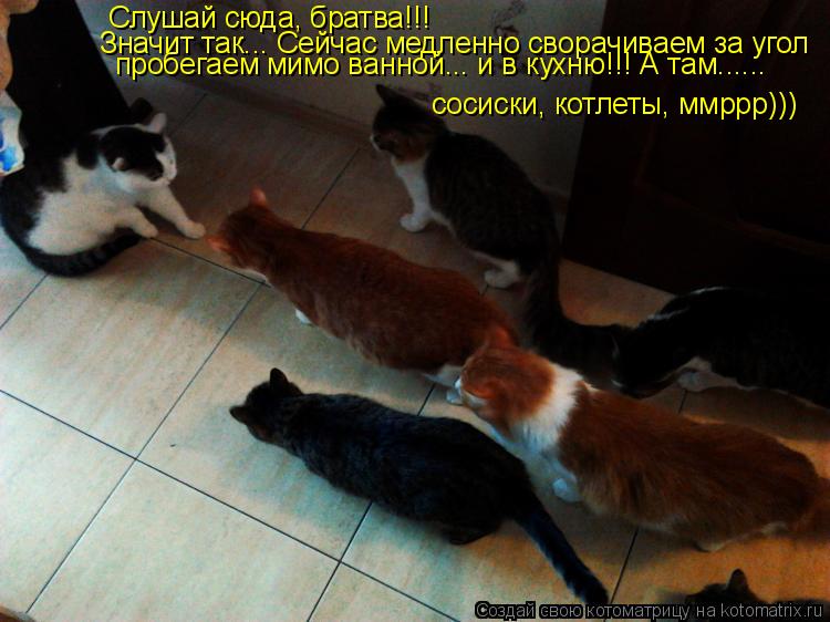Значит так... Сейчас медленно сворачиваем за угол Слушай сюда, братва!!! пробегаем мимо ванной... и в... Котоматрица: Значит так... Сейчас медленно сворачиваем за угол Слушай сюда, братва!!! пробегаем мимо ванной... и в кухню!!! А там...... сосиски, котлеты, ммррр)))