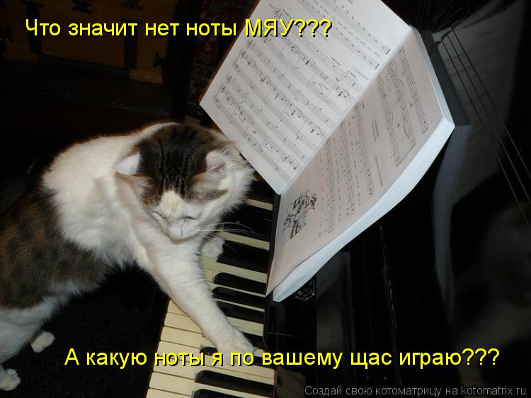 Что значит нет ноты МЯУ??? А какую ноты я по вашему щас играю???... Котоматрица: Что значит нет ноты МЯУ??? А какую ноты я по вашему щас играю???
