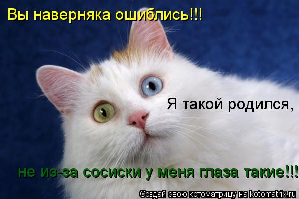 Вы наверняка ошиблись!!! Я такой родился, не из-за сосиски у меня глаза такие!!! Я такой родился, н... Котоматрица: Вы наверняка ошиблись!!! Я такой родился, не из-за сосиски у меня глаза такие!!! Я такой родился, не из-за сосиски у меня глаза такие!!! не из-за