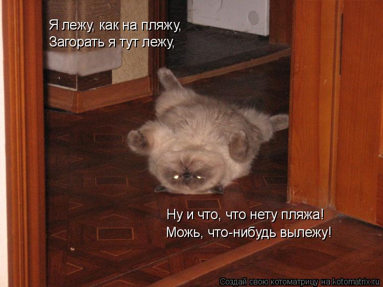 Я лежу, как на пляжу, Загорать я тут лежу, Ну и что, что нету пляжа! Можь, что-нибудь вылежу!... Котоматрица: Я лежу, как на пляжу, Загорать я тут лежу, Ну и что, что нету пляжа! Можь, что-нибудь вылежу!