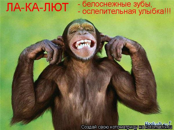 ЛА-КА-ЛЮТ - белоснежные зубы, - ослепительная улыбка!!!... Котоматрица: ЛА-КА-ЛЮТ - белоснежные зубы, - ослепительная улыбка!!!