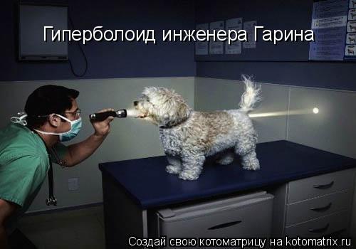 Гиперболоид инженера Гарина... Котоматрица: Гиперболоид инженера Гарина
