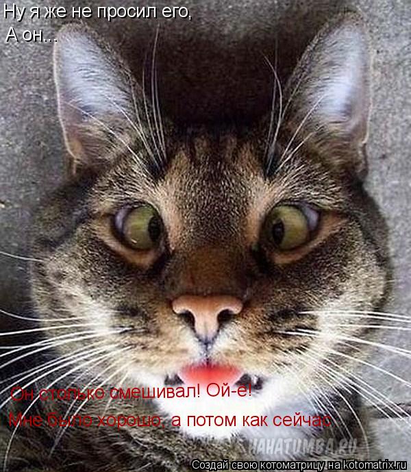 Ну я же не просил его, А он... Мне было хорошо, а потом как сейчас Он столько смешивал! Ой-ё!... Котоматрица: Ну я же не просил его, А он... Мне было хорошо, а потом как сейчас Он столько смешивал! Ой-ё!