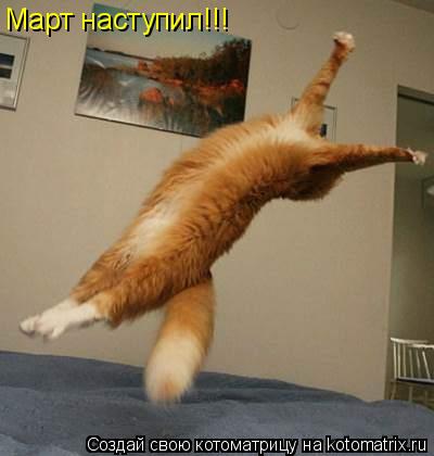Март наступил!!!... Котоматрица: Март наступил!!!