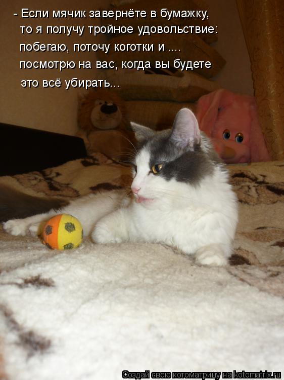 - Если мячик завернёте в бумажку, то я получу тройное удовольствие: побегаю, поточу коготки и ...... Котоматрица: - Если мячик завернёте в бумажку, то я получу тройное удовольствие: побегаю, поточу коготки и .... посмотрю на вас, когда вы будете это всё у