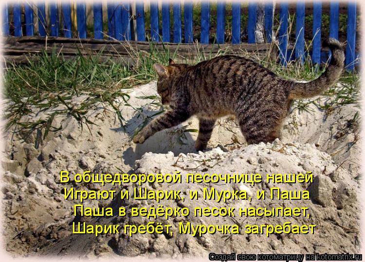 В общедворовой песочнице нашей Играют и Шарик, и Мурка, и Паша Паша в ведёрко песок насыпает, Шарик г... Котоматрица: В общедворовой песочнице нашей Играют и Шарик, и Мурка, и Паша Паша в ведёрко песок насыпает, Шарик гребёт, Мурочка загребает