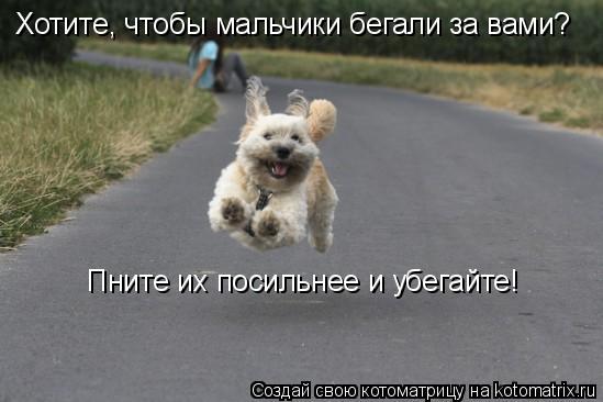 Хотите, чтобы мальчики бегали за вами? Пните их посильнее и убегайте!... Котоматрица: Хотите, чтобы мальчики бегали за вами? Пните их посильнее и убегайте!