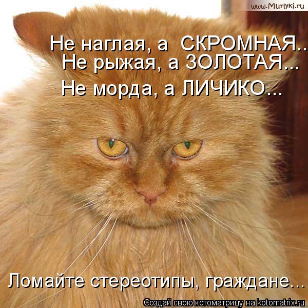 Не рыжая, а ЗОЛОТАЯ... Не наглая, а СКРОМНАЯ... Не морда, а ЛИЧИКО... Ломайте стереотипы, граждане..... Котоматрица: Не рыжая, а ЗОЛОТАЯ... Не наглая, а СКРОМНАЯ... Не морда, а ЛИЧИКО... Ломайте стереотипы, граждане...