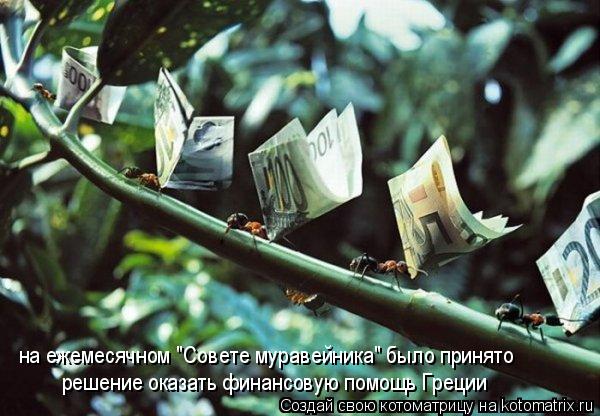 на ежемесячном "Совете муравейника" было принято решение оказать финансовую помощь Греции... Котоматрица: на ежемесячном "Совете муравейника" было принято решение оказать финансовую помощь Греции