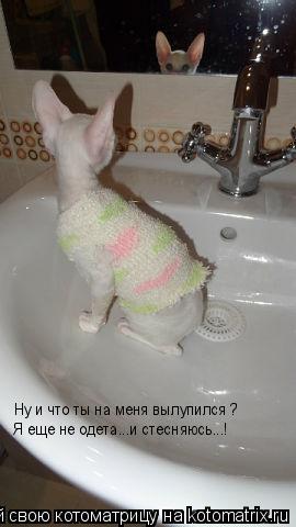 Ну и что ты на меня вылупился ? Я еще не одета...и стесняюсь...!... Котоматрица: Ну и что ты на меня вылупился ? Я еще не одета...и стесняюсь...!
