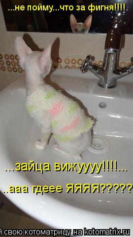 ...не пойму...что за фигня!!!! ..ааа гдеее ЯЯЯЯ????? ...зайца вижуууу!!!!...... Котоматрица: ...не пойму...что за фигня!!!! ..ааа гдеее ЯЯЯЯ????? ...зайца вижуууу!!!!...