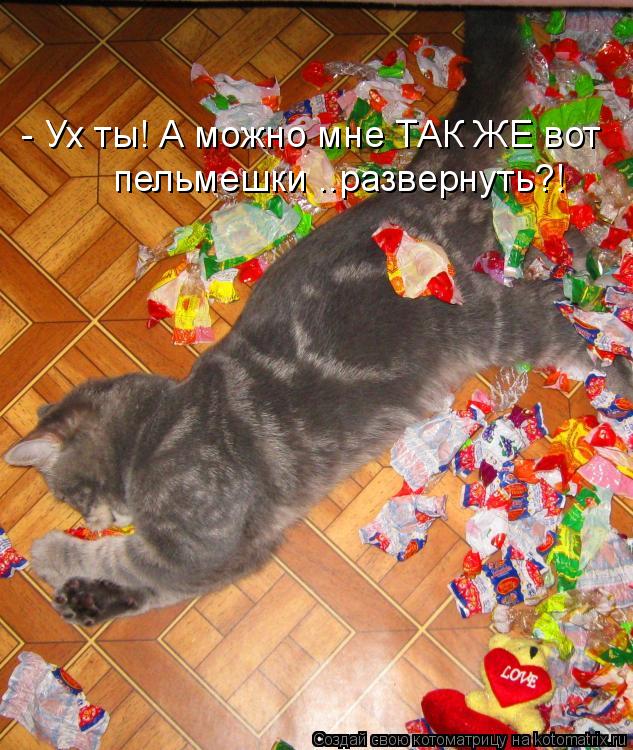 - Ух ты! А можно мне ТАК ЖЕ вот пельмешки ..развернуть?!... Котоматрица: - Ух ты! А можно мне ТАК ЖЕ вот пельмешки ..развернуть?!