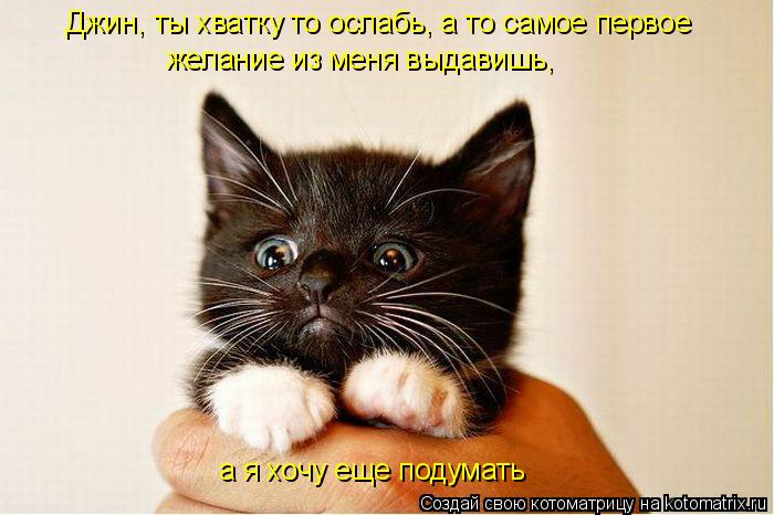 Джин, ты хватку то ослабь, а то самое первое желание из меня выдавишь, а я хочу еще подумать... Котоматрица: Джин, ты хватку то ослабь, а то самое первое желание из меня выдавишь, а я хочу еще подумать