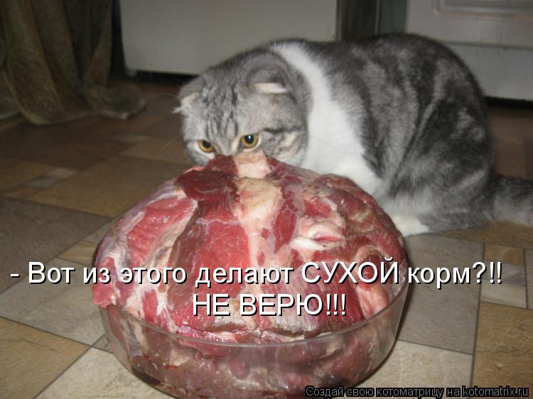 - Вот из этого делают СУХОЙ корм?!! НЕ ВЕРЮ!!!... Котоматрица: - Вот из этого делают СУХОЙ корм?!! НЕ ВЕРЮ!!!