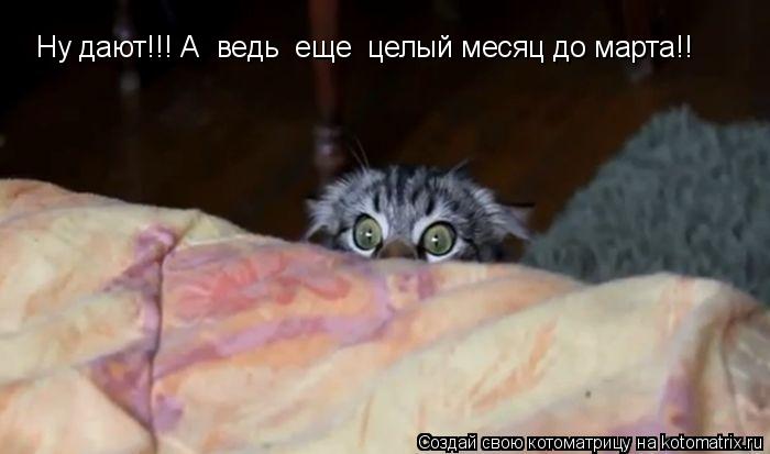 Ну дают!!! А ведь еще целый месяц до марта!!... Котоматрица: Ну дают!!! А ведь еще целый месяц до марта!!