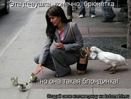 Эта девушка, конечно, брюнетка... ...но она такая блондинка!..... Котоматрица: Эта девушка, конечно, брюнетка... ...но она такая блондинка!..