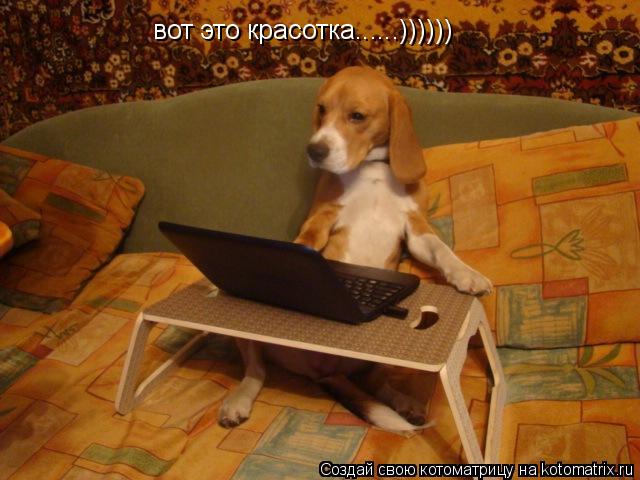 вот это красотка......)))))) вот это красотка......))))))... Котоматрица: вот это красотка......)))))) вот это красотка......))))))
