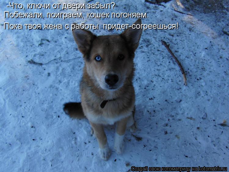 -Что, ключи от двери забыл? Побежали, поиграем, кошек погоняем. Пока твоя жена с работы придет-согр... Котоматрица: -Что, ключи от двери забыл? Побежали, поиграем, кошек погоняем. Пока твоя жена с работы придет-согреешься!
